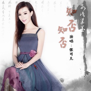知否知否封面