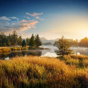 The Path Of Quiet Discovery