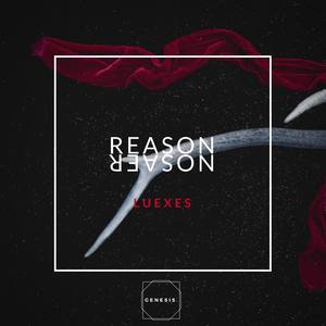Reason[GNS07] (Original Mix)
