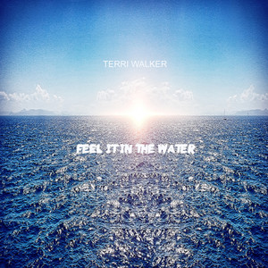 Feel It In The Water (Chimpo & Metrodome Remix)