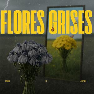 flores grises : (