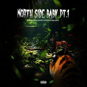 Northside Baby Pt. 1 (feat. GAIGER, SRV BOII, AVAK & Recco) (Explicit)