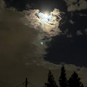 In A Very Sentimental Mood (Explicit)