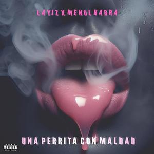 Una Perrita Con Maldad (feat. MiyaggyProd, WNU Music & Menol Kabra) (Explicit)