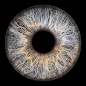 Through My Eyes (Explicit)