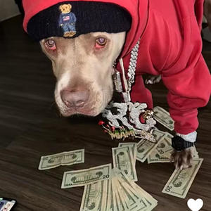 Talkin Krazy (feat. 315NIGHTS & Yung fuego) (Explicit)