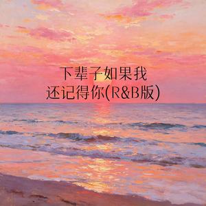 下辈子如果我还记得你 (R&B版)封面