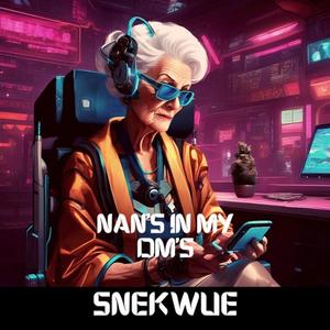 Nan's in my Dm's (Explicit)