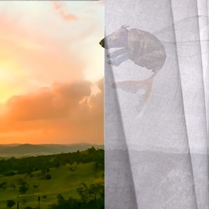 D'un endroit à l'autre (Acoustic Version)