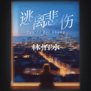 逃离悲伤 (DJ版)