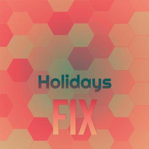 Holidays Fix