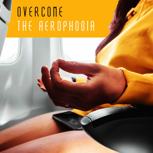 Overcome the Aerophobia: Airplane Cabin Noises for Flight Visualization