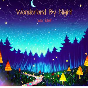 Wonderland By Night