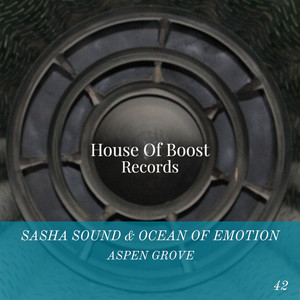 Aspen Grove (Original Mix)