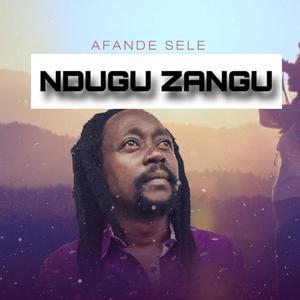 Ndugu zangu (feat. Afande sele)