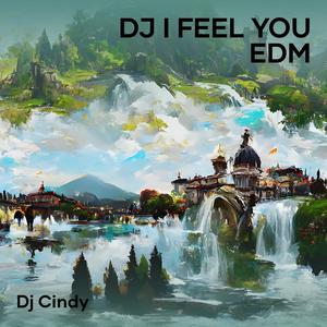 Dj I Feel You Edm (Remix)