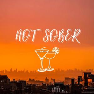 Not Sober (feat. LüvKam) (Explicit)
