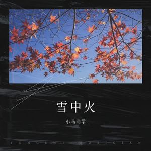 雪中火封面