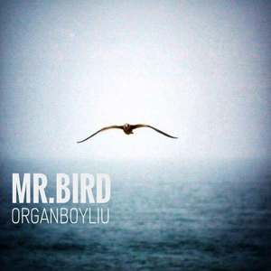 Mr.BIRD