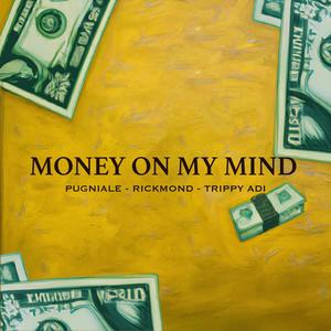 Money On My Mind (feat. Trippy Adi) (Explicit)