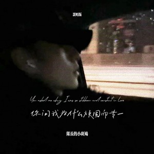 你问我为什么顽固而专一-队长的小斑鸠