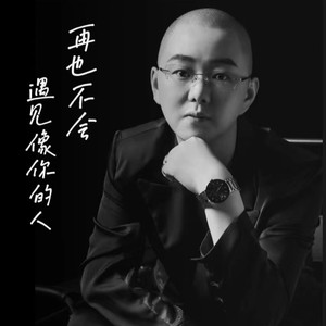 再也不会遇见像你的人 (DJ默涵版)