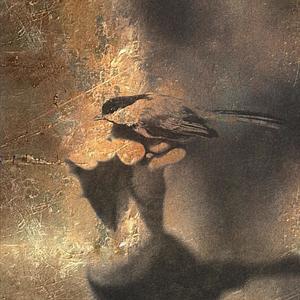 Corazonada (feat. sabú & SEPH)