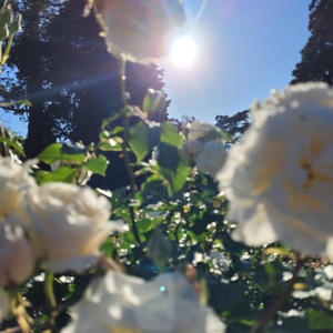 Sometimes (Explicit)