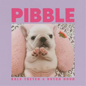 PIBBLE (Hard Techno Edit|Explicit)