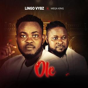 Ole (feat. Lingo Vybe)