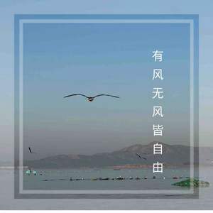 有风无风皆自由 (合唱版)