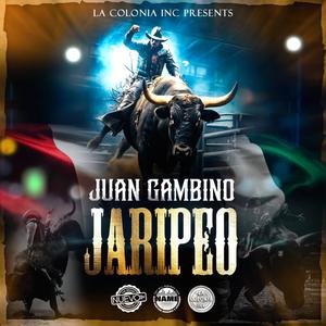 Jaripeo