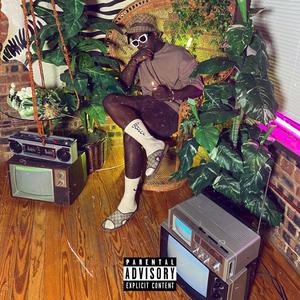 DoNotDisturb(DND) (Explicit)