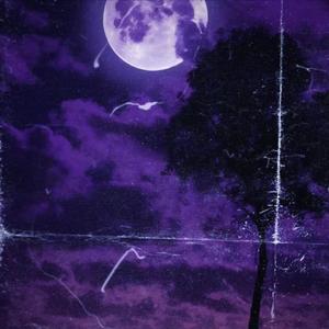 Moonlight (feat. Carzo) (Explicit)