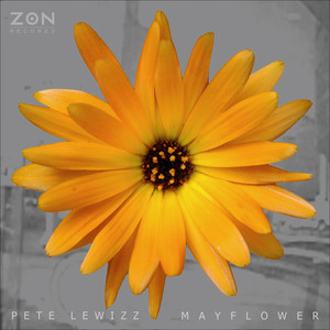 Mayflower (Short Cut Mix)