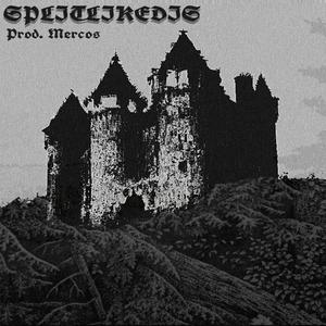 SPLITLIKEDIS (Explicit)