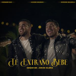 Te extraño bebe