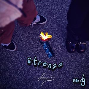 stronza