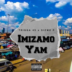 Imizamo Yam (feat. Sizwe P & El Tydder)