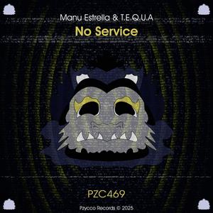 No Service