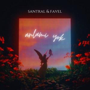 ANLAMI YOK (feat. Favel)