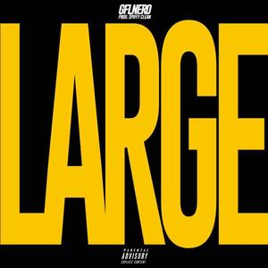 Large (Explicit)