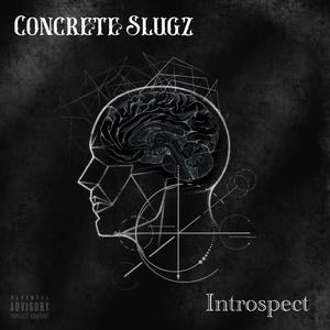 Introspect (Explicit)