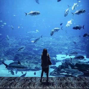 Not Anymore (Feat. COMMA)