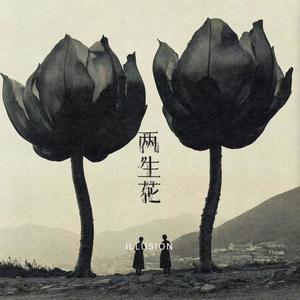两生花 Illusion