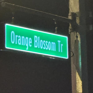 Loui Briefcase (Explicit)