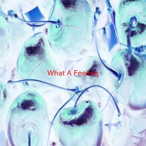 What A Feeling (Instrumental version originally performed by DJ Bobo And Irene Cara)