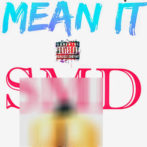 Mean it (feat. Blu2sk3y) (Explicit)