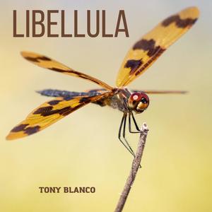 LIBELLULA