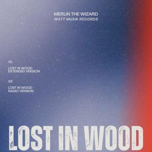 Lost in wood